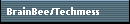 BrainBee/Techmess